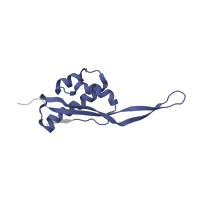 The deposited structure of PDB entry 4v7j contains 2 copies of Pfam domain PF00237 (Ribosomal protein L22p/L17e) in Large ribosomal subunit protein uL22. Showing 1 copy in chain QA [auth AW].