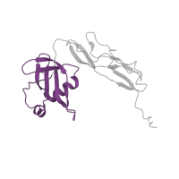 The deposited structure of PDB entry 4v7j contains 2 copies of Pfam domain PF01386 (Ribosomal L25p family) in Large ribosomal subunit protein bL25. Showing 1 copy in chain TA [auth AZ].