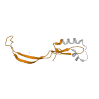 The deposited structure of PDB entry 4v7j contains 2 copies of Pfam domain PF00830 (Ribosomal L28 family) in Large ribosomal subunit protein bL28. Showing 1 copy in chain VA [auth A1].