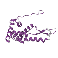 The deposited structure of PDB entry 4v7j contains 2 copies of Pfam domain PF00177 (Ribosomal protein S7p/S5e) in Small ribosomal subunit protein uS7. Showing 1 copy in chain F [auth Ag].