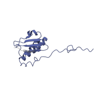 The deposited structure of PDB entry 4v7j contains 2 copies of Pfam domain PF00380 (Ribosomal protein S9/S16) in Small ribosomal subunit protein uS9. Showing 1 copy in chain H [auth Ai].