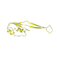 The deposited structure of PDB entry 4v7j contains 2 copies of Pfam domain PF00338 (Ribosomal protein S10p/S20e) in Small ribosomal subunit protein uS10. Showing 1 copy in chain I [auth Aj].