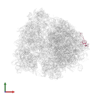 Large ribosomal subunit protein uL24 in PDB entry 4v7j, assembly 1, front view.