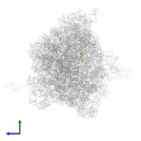 Large ribosomal subunit protein bL32 in PDB entry 4v7j, assembly 1, side view.