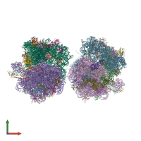PDB entry 4v7l coloured by chain, front view.