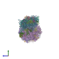 PDB entry 4v7l coloured by chain, side view.