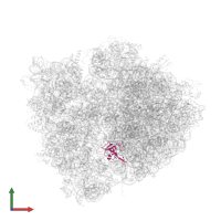 Large ribosomal subunit protein uL14 in PDB entry 4v7l, assembly 2, front view.