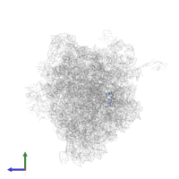Large ribosomal subunit protein bL34 in PDB entry 4v7l, assembly 2, side view.