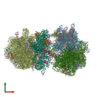 PDB entry 4v7p coloured by chain, front view.