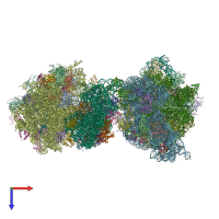 PDB entry 4v7p coloured by chain, top view.