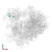 Small ribosomal subunit protein uS10 in PDB entry 4v7r, assembly 1, front view.