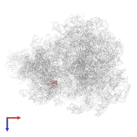 40S ribosomal protein S23 in PDB entry 4v7r, assembly 1, top view.