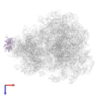 Small ribosomal subunit protein RACK1 in PDB entry 4v7r, assembly 1, top view.