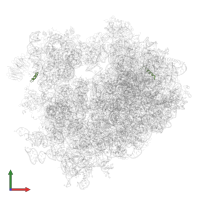 Unassigned secondary structure in PDB entry 4v7r, assembly 1, front view.