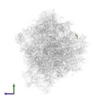 Unassigned secondary structure in PDB entry 4v7r, assembly 1, side view.