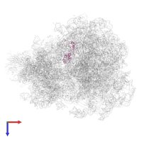 60S ribosomal protein L1 in PDB entry 4v7r, assembly 1, top view.