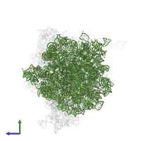 23S ribosomal RNA in PDB entry 4v7v, assembly 1, side view.
