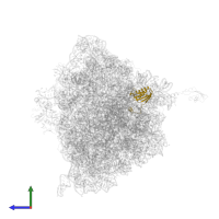 Small ribosomal subunit protein uS11 in PDB entry 4v7w, assembly 2, side view.