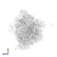 30S ribosomal protein S14 in PDB entry 4v7w, assembly 2, side view.