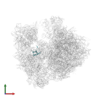 Small ribosomal subunit protein bS18 in PDB entry 4v7w, assembly 2, front view.
