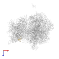 Small ribosomal subunit protein uS19 in PDB entry 4v7w, assembly 2, top view.