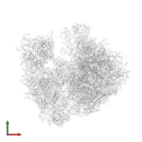 Small ribosomal subunit protein bTHX in PDB entry 4v7w, assembly 2, front view.