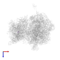 Small ribosomal subunit protein bTHX in PDB entry 4v7w, assembly 2, top view.