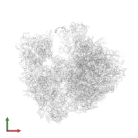 Large ribosomal subunit protein bL31 in PDB entry 4v7w, assembly 2, front view.