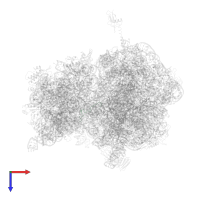 Large ribosomal subunit protein bL31 in PDB entry 4v7w, assembly 2, top view.