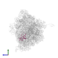 Small ribosomal subunit protein uS4 in PDB entry 4v7w, assembly 2, side view.