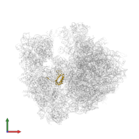 Small ribosomal subunit protein bS6 in PDB entry 4v7w, assembly 2, front view.