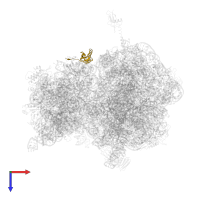 Small ribosomal subunit protein bS6 in PDB entry 4v7w, assembly 2, top view.
