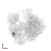 30S ribosomal protein S8 in PDB entry 4v7w, assembly 2, front view.