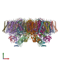 PDB entry 4v82 coloured by chain, front view.