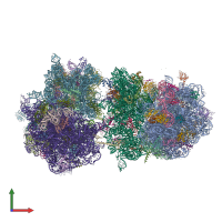 PDB entry 4v83 coloured by chain, front view.