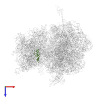 Small ribosomal subunit protein uS13 in PDB entry 4v83, assembly 1, top view.