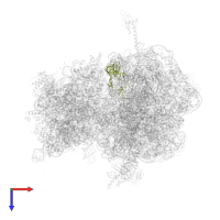 Large ribosomal subunit protein uL2 in PDB entry 4v83, assembly 1, top view.