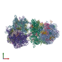 PDB entry 4v84 coloured by chain, front view.