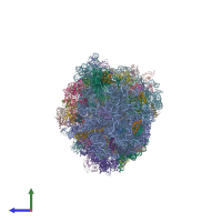 PDB entry 4v84 coloured by chain, side view.