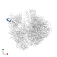 Small ribosomal subunit protein uS10 in PDB entry 4v84, assembly 1, front view.