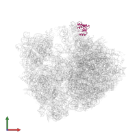 Large ribosomal subunit protein uL18 in PDB entry 4v84, assembly 1, front view.