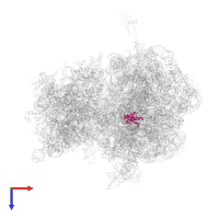 Large ribosomal subunit protein uL18 in PDB entry 4v84, assembly 1, top view.