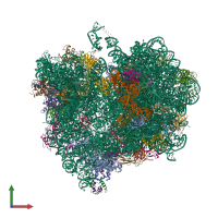 PDB entry 4v85 coloured by chain, front view.