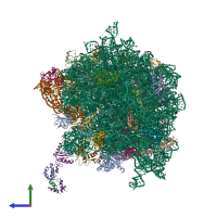 PDB entry 4v85 coloured by chain, side view.