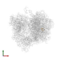 Large ribosomal subunit protein uL30 in PDB entry 4v85, assembly 1, front view.