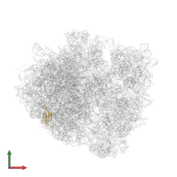 Large ribosomal subunit protein uL23 in PDB entry 4v87, assembly 2, front view.