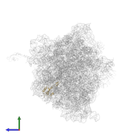 Large ribosomal subunit protein uL23 in PDB entry 4v87, assembly 2, side view.