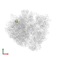 Large ribosomal subunit protein uL30 in PDB entry 4v87, assembly 2, front view.