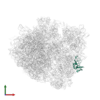 Small ribosomal subunit protein uS4 in PDB entry 4v87, assembly 2, front view.