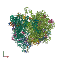 PDB entry 4v89 coloured by chain, front view.